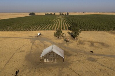 “California Forever”: i miliardari della Silicon Valley e la loro Smart City dei sogni